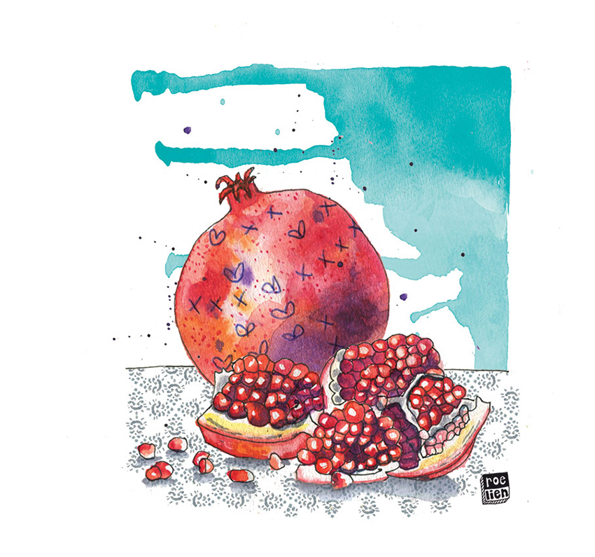 pomegranate_illustration_unrouxly