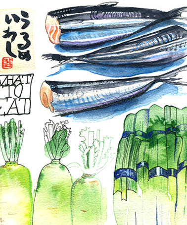 mackerel and leeks Japan unrouxly illustration