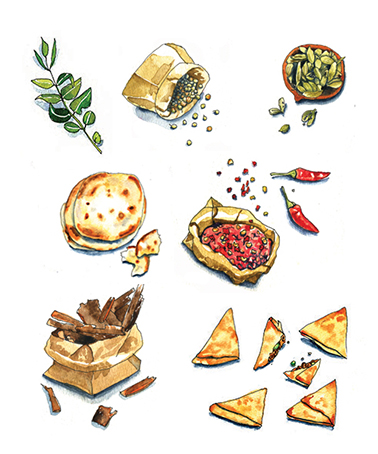 cape-malay-spices-illustration-unrouxly